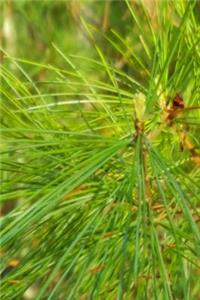 Bright Green Pine Needles Journal