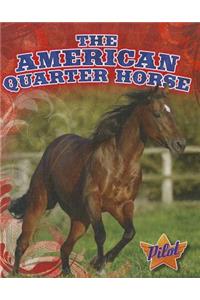 American Quarter Horse