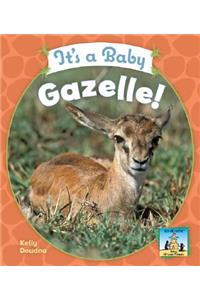 It's a Baby Gazelle!