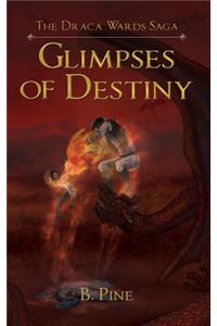 Glimpses of Destiny