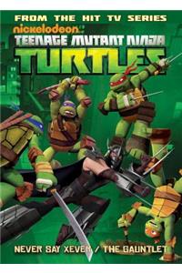 Teenage Mutant Ninja Turtles Animated Volume 2: Never Say Xever / The Gauntlet