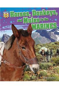 Horses, Donkeys, and Mules in the Marines
