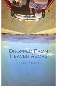 Dropped from Heaven Above