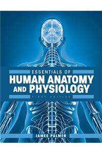 Essentials of Human Anatomy and Physiology