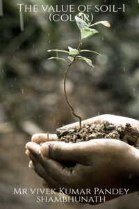 value of soil-1 (color)
