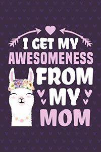 I Get My Awesomeness From My Mom