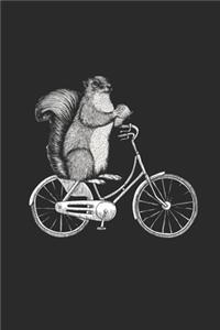 Squirrel In Bicycle