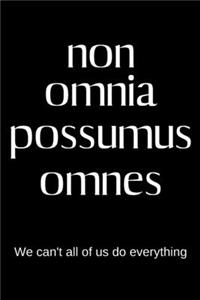 non omnia possumus omnes - We can't all of us do everything