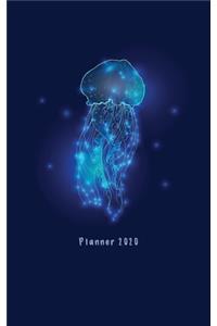 Planner 2020