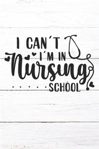 I Can't I'm In Nursing School