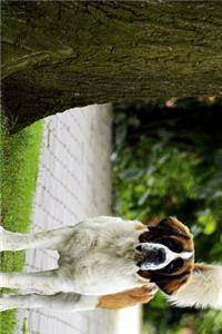 Saint St Bernard Dog Standing by a Tree Journal