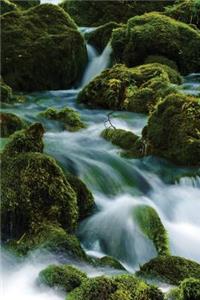 Moss Waterfall Journal