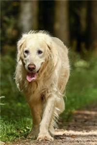 Golden Retriever Dog on a walk in the Woods Journal