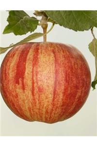 Apple Notebook Large Size 8.5 x 11 Ruled 150 Pages Softcover