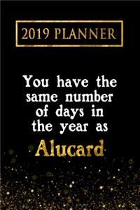 2019 Planner: You Have the Same Number of Days in the Year as Alucard: Alucard 2019 Planner