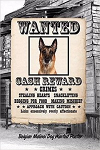 Belgian Malinoi Dog Wanted Poster