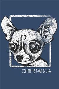 Life of my Chihuahua