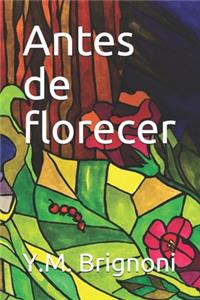 Antes de florecer