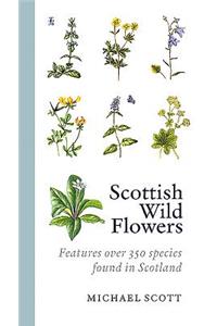 Scottish Wild Flowers