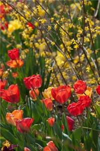 Springtime Flowers - Lined Notebook with Margins