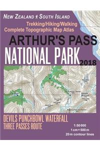 Arthur's Pass National Park Trekking/Hiking/Walking Topographic Map Atlas Devils Punchbowl Waterfall Three Passes Route New Zealand South Island 1