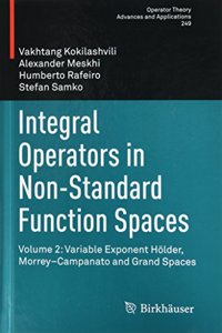 Integral Operators in Non-Standard Function Spaces
