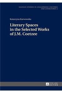Literary Spaces in the Selected Works of J.M. Coetzee