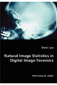 Natural Image Statistics in Digital Image Forensics