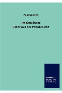 Im Gewässer