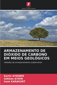 Armazenamento de Dióxido de Carbono Em Meios Geológicos