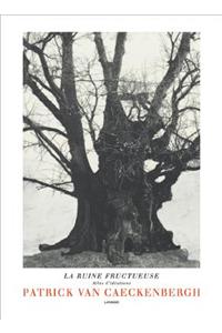 Patrick Van Caeckenbergh: La Ruine Fructueuse: La Ruine Fructueuse: Atlas des ideations