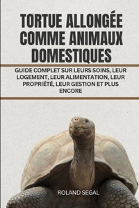 Tortue Allongée Comme Animaux Domestiques