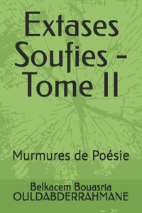Extases Soufies - Tome II