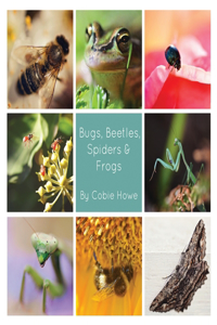 Bugs, Beetles, Spiders and Frogs
