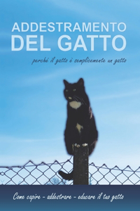 Addestramento del gatto perché il gatto è semplicemente un gatto