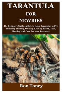 Tarantula for Newbies