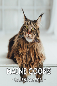 Maine Coons