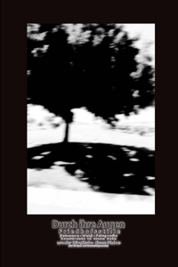 Durch ihre Augen Friedhofsstille Schwarz-Weiß-Fotografie Kunstdrucke in einem Buch