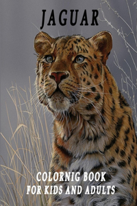 Jaguar Coloring Book for adults and kids