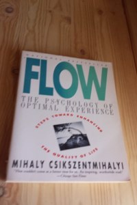 Flow: The Psychology of Optimal Experience