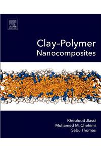 Clay-Polymer Nanocomposites