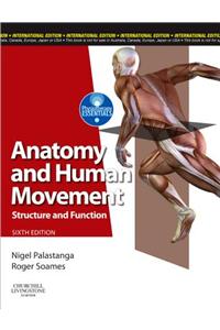 Anatomy & Human Movement