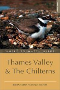 Where to Watch Birds in the Thames Valley & the Chilterns