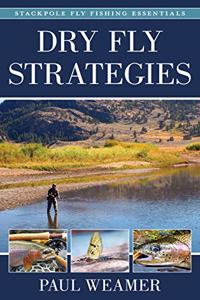 Dry Fly Strategies