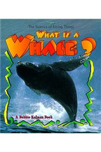 What Is a Whale?