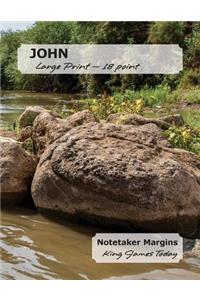 JOHN Large Print - 18 point