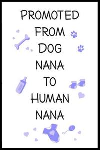 Promoted From Dog Nana To Human Nana