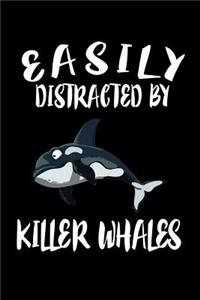 Easily Distracted By Killer Whales