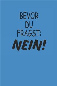 Bevor Du Fragst