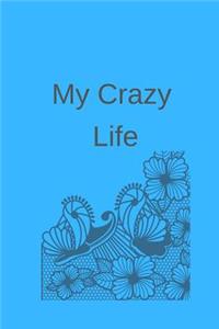 My Crazy Life